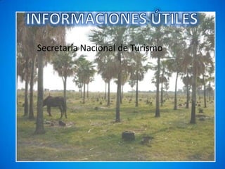 Secretaría Nacional de Turismo
 