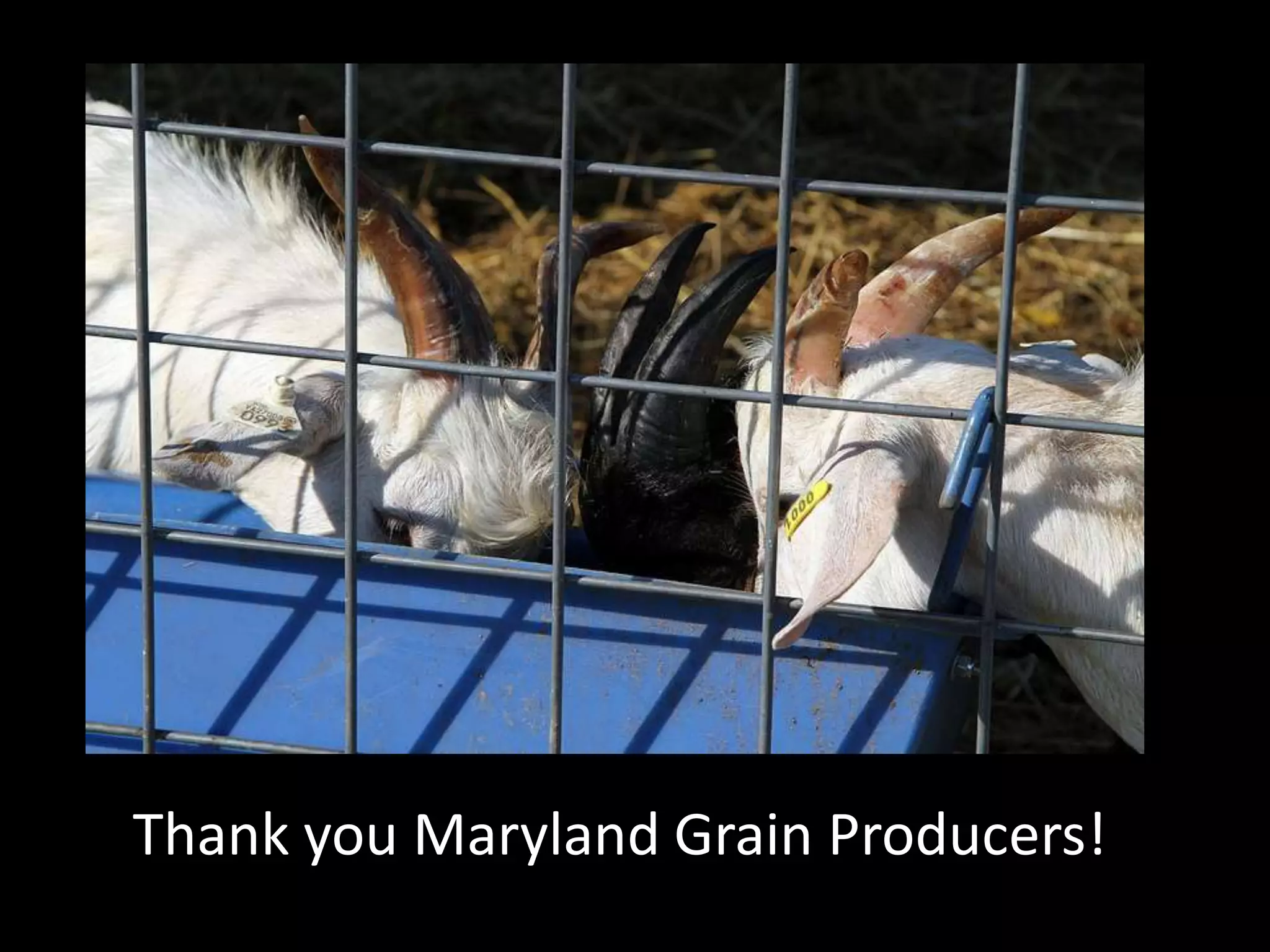 Thank you Maryland Grain Producers!
 