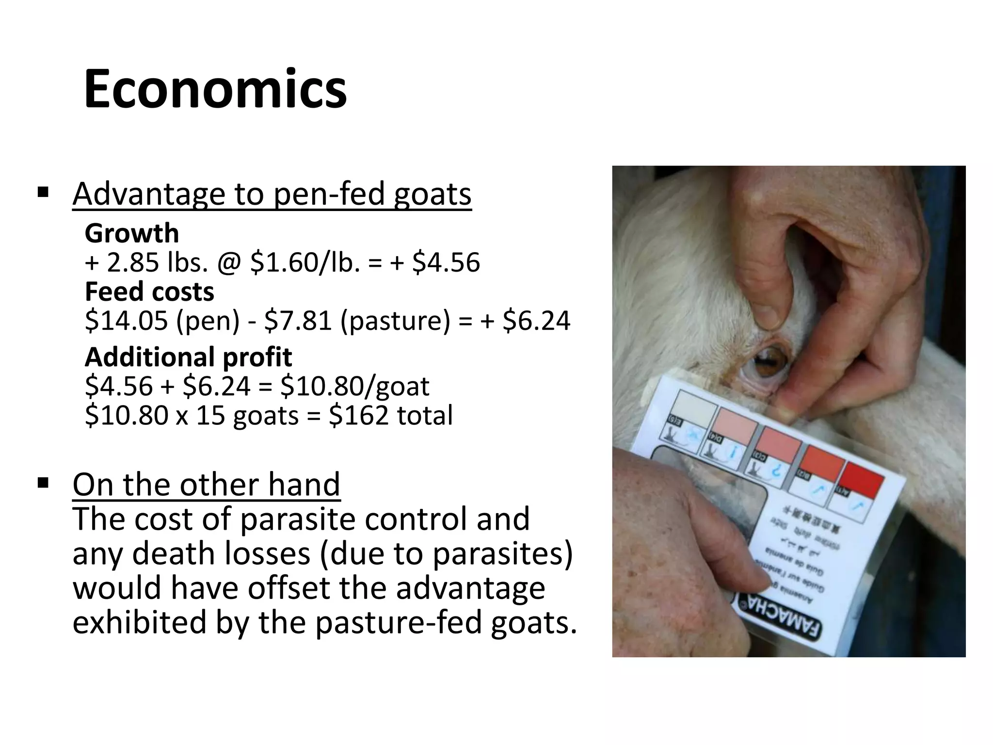 Economics
 Advantage to pen-fed goats
   Growth
   + 2.85 lbs. @ $1.60/lb. = + $4.56
   Feed costs
   $14.05 (pen) - $7.81 (pasture) = + $6.24
   Additional profit
   $4.56 + $6.24 = $10.80/goat
   $10.80 x 15 goats = $162 total

 On the other hand
  The cost of parasite control and
  any death losses (due to parasites)
  would have offset the advantage
  exhibited by the pasture-fed goats.
 