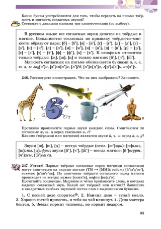 93
-
Ñîñòàâüòå ñ äàííûìè ñëîâàìè òðè ñëîâîñî÷åòàíèÿ (ïî âûáîðó).
-
[ç’], [ê] – [ê’], [ë] – [ë’], [ì] – [ì’], [í] – [í’], [ï] – [ï’], [ð] – [ð’],
[ñ] – [ñ’], [ò] – [ò’], [ô] – [ô’], [õ] – [õ’]. Ê íåïàðíûì îòíîñÿòñÿ
ø–’].
Ìÿãêîñòü ñîãëàñíûõ íà ïèñüìå îáîçíà÷àåòñÿ áóêâàìè
: çâó[ê’]è, [ç’]åì[ë’]ÿ, [ë’] [ë’]þ[ä’] [ð’]ÿ[ç’] [ë’] .
246.
6
ñîãëàñíûå , , ïåðåä ãëàñíûìè è, å
, , ù ïåðåä à, î, ó
þðè): [æ]
[ø] [ö] ; çâóêè [é’], [÷’], [ø–’] – âñåãäà ìÿãêèå: [é’]
[÷’] [ø–[ø[ø’] .
247. Ó÷òèòå!
ìîãóò ñìÿã÷àòüñÿ íà ïàðíûå ìÿãêèå (ÒÌ [ÌÌ]): åç [é’ýç’ä’èò’],
âèíòèê
ïðîèñõîäèò íå âñåãäà: êàìíè [êàìí’è], âàôëè [âàôë’è].
â êâàäðàòíûõ ñêîáêàõ çâóêîâîé ñîñòàâ ñëîâ ñ âûäåëåííûìè áóêâàìè.
1. Ñ ïåñíåé äåëî ñïîðèòñÿ . 2. Êîí÷èë äåëî – ãóëÿé ñìåëî.
3. Õîðîøî ãîñòåé ïðèìåøü, è òåáÿ íà ÷àé êëèêíóò. 4. Äåëî ìàñòåðà
áîèòñÿ. 5. Çåìëÿ êîðìèò ÷åëîâåêà, íî êîðìèò íåäàðîì.
 