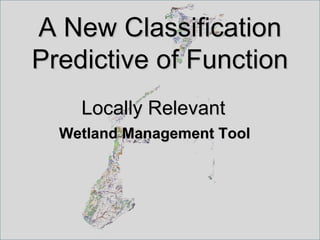 A New Classification
Predictive of Function
    Locally Relevant
  Wetland Management Tool
 