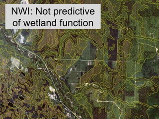 NWI: Not predictive
of wetland function
 