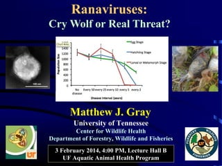 Ranaviruses:
Cry Wolf or Real Threat?

Matthew J. Gray
University of Tennessee
Center for Wildlife Health
Department of Forestry, Wildlife and Fisheries
3 February 2014, 4:00 PM, Lecture Hall B
UF Aquatic Animal Health Program

 
