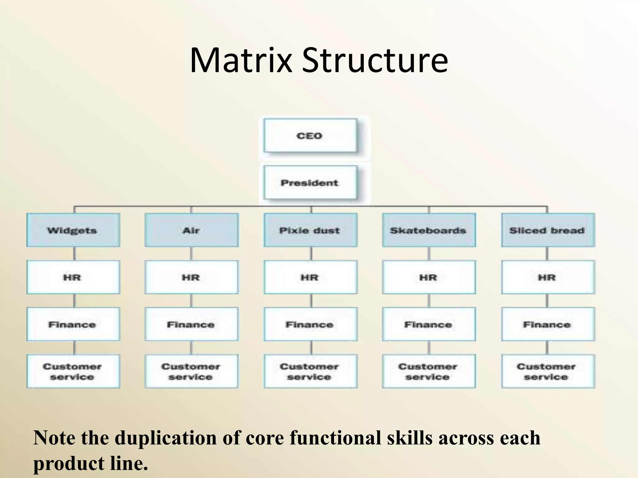 Matrix Structure




Note the duplication of core functional skills across each
product line.
 