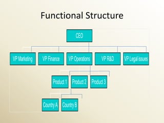 Functional Structure
                                 CEO


VP Marketing   VP Finance    VP Operations     VP R&D   VP Legal issues


                     Product 1 Product 2 Product 3


               Country A Country B
 