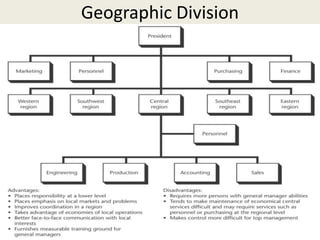 Geographic Division
 