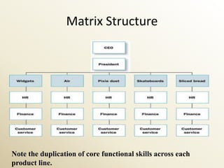 Matrix Structure




Note the duplication of core functional skills across each
product line.
 