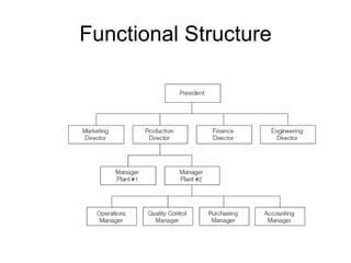 Functional Structure
 
