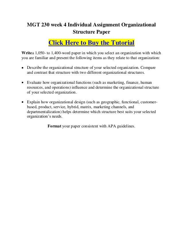 Mgt230 week 4 essay 02 image