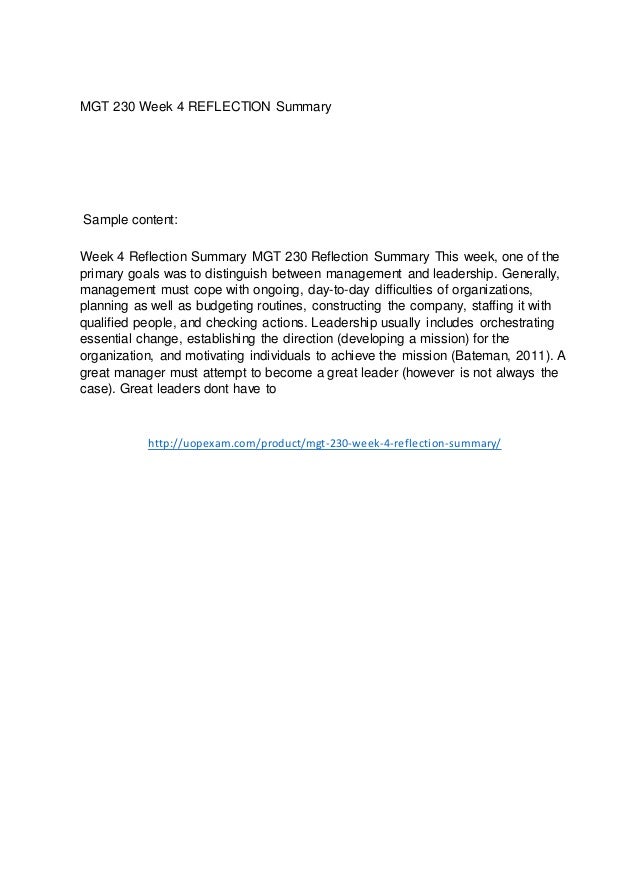 Mgt230 week 4 essay 03 picture
