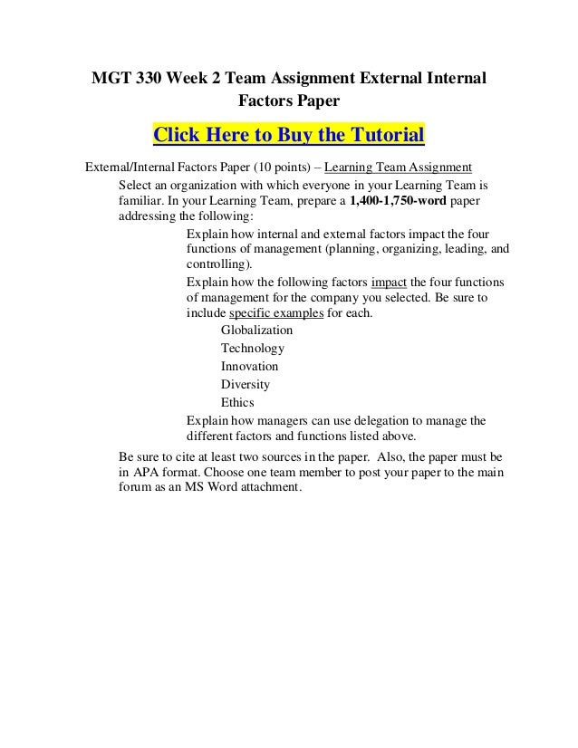 External internal factors essay 07 picture