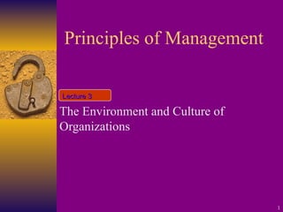 Principles of Management The Environment and Culture of Organizations  Lecture 3 