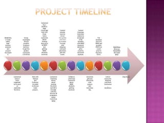 Project timeline