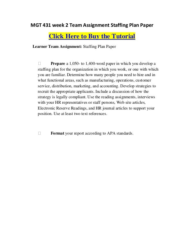 MGT 431 week 2 Team Assignment Staffing Plan Paper