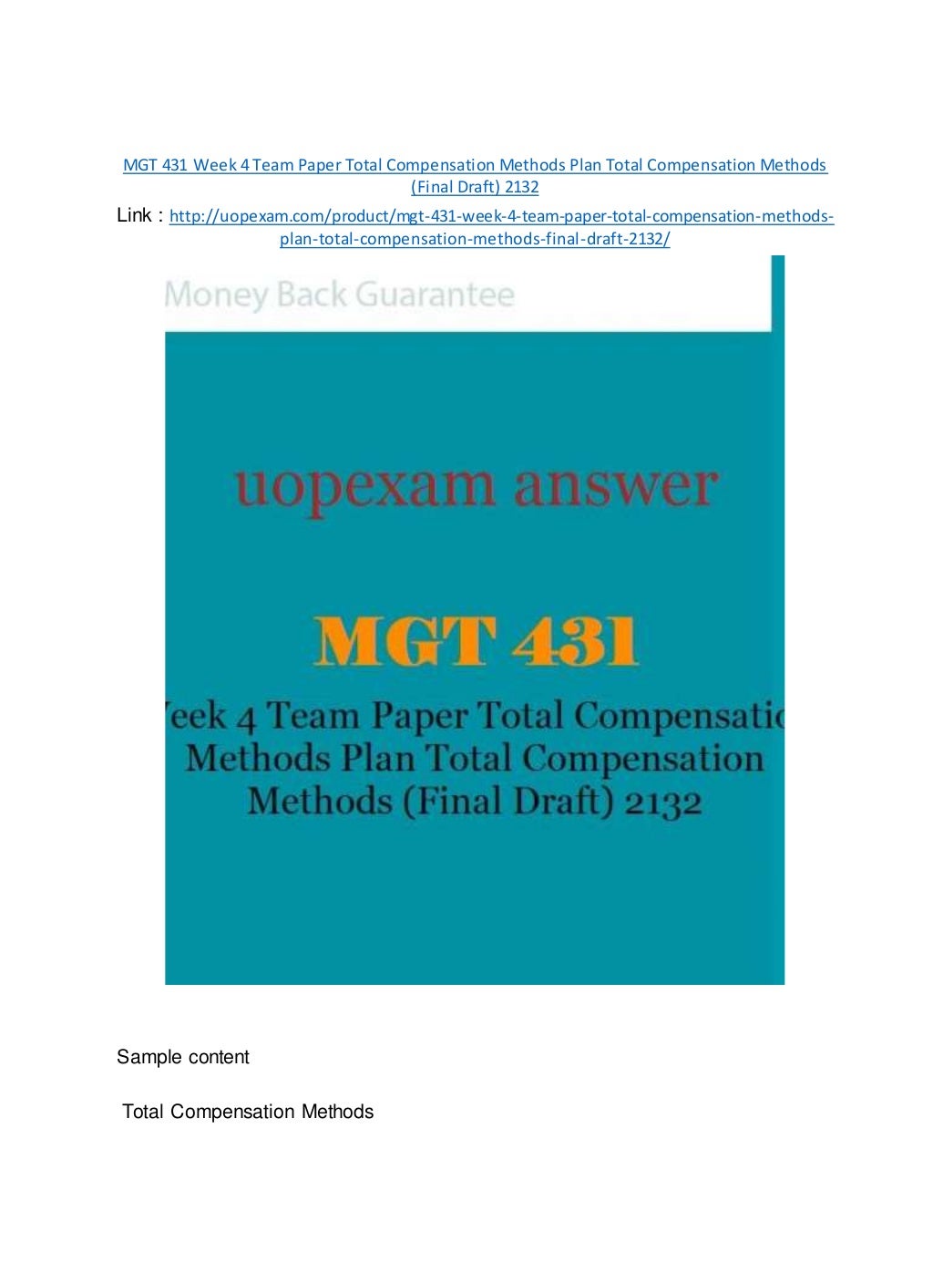 Total compensation essay 3053 03 picture