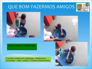 QUE BOM FAZERMOS AMIGOS
O primeiro contato com a tartaruga... Proporcionou
curiosidade... medo...euforia... E muitos conhecimentos.
Dando banho na tartaruga.
 