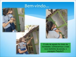 Bem-vindo...
O mês de agosto foi cheio de
novidades: conhecermos o mais
novo bichinho da escola, o
papagaio Paquito!!!
 