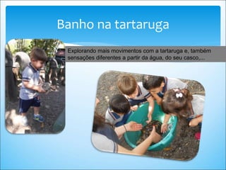 Banho na tartaruga
Explorando mais movimentos com a tartaruga e, também
sensações diferentes a partir da água, do seu casco,...
 