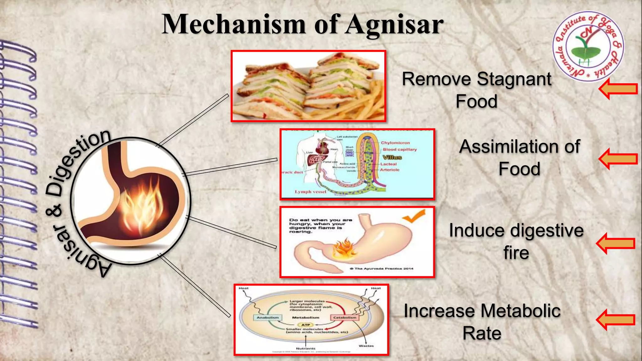 4 Agnisar Kriya Ppt 4 Agnisar Kriya Ppt