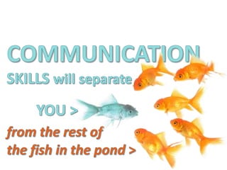Our MGT OPEN Communication Programmes for 2015