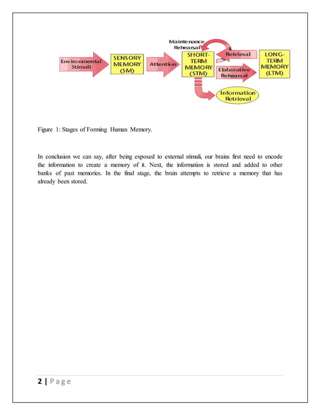 HOW HUMAN MEMORY WORKS visual data 3