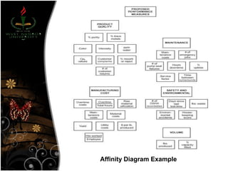 Affinity Diagram Example
 