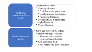 MGT WHO Classification male genital tract | PPTX