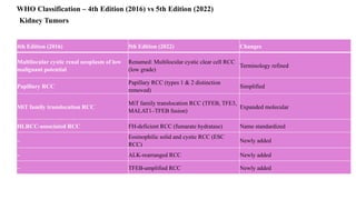 Who Rcc Grading MGT WHO Classification male genital tract | PPTX