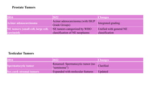 MGT WHO Classification male genital tract | PPTX