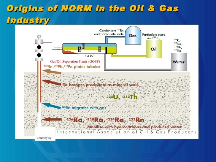 Origins Of Oil And Natural Gas Origins Of Oil And Natural Gas