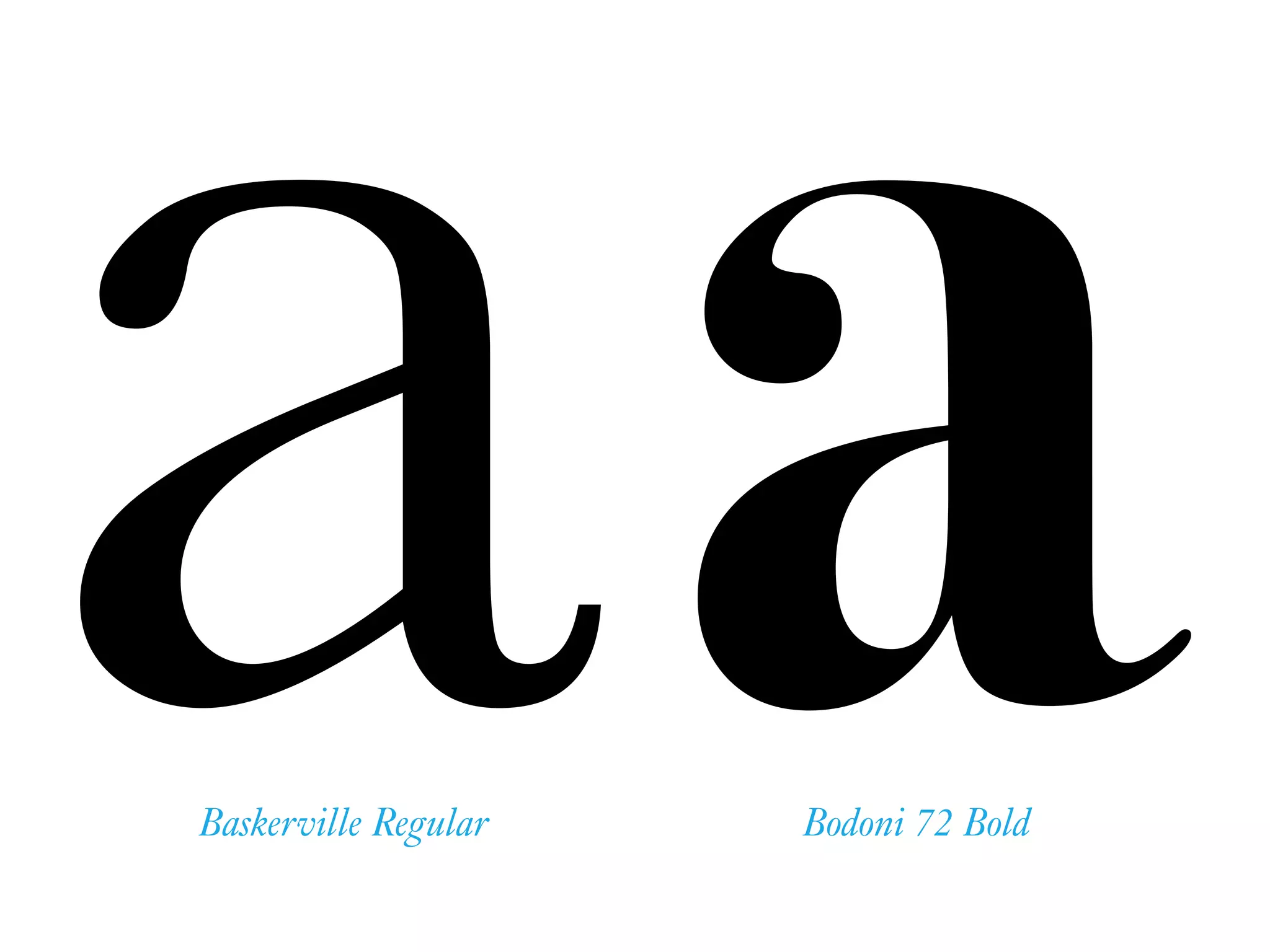 aaBaskerville Regular Bodoni 72 Bold
 