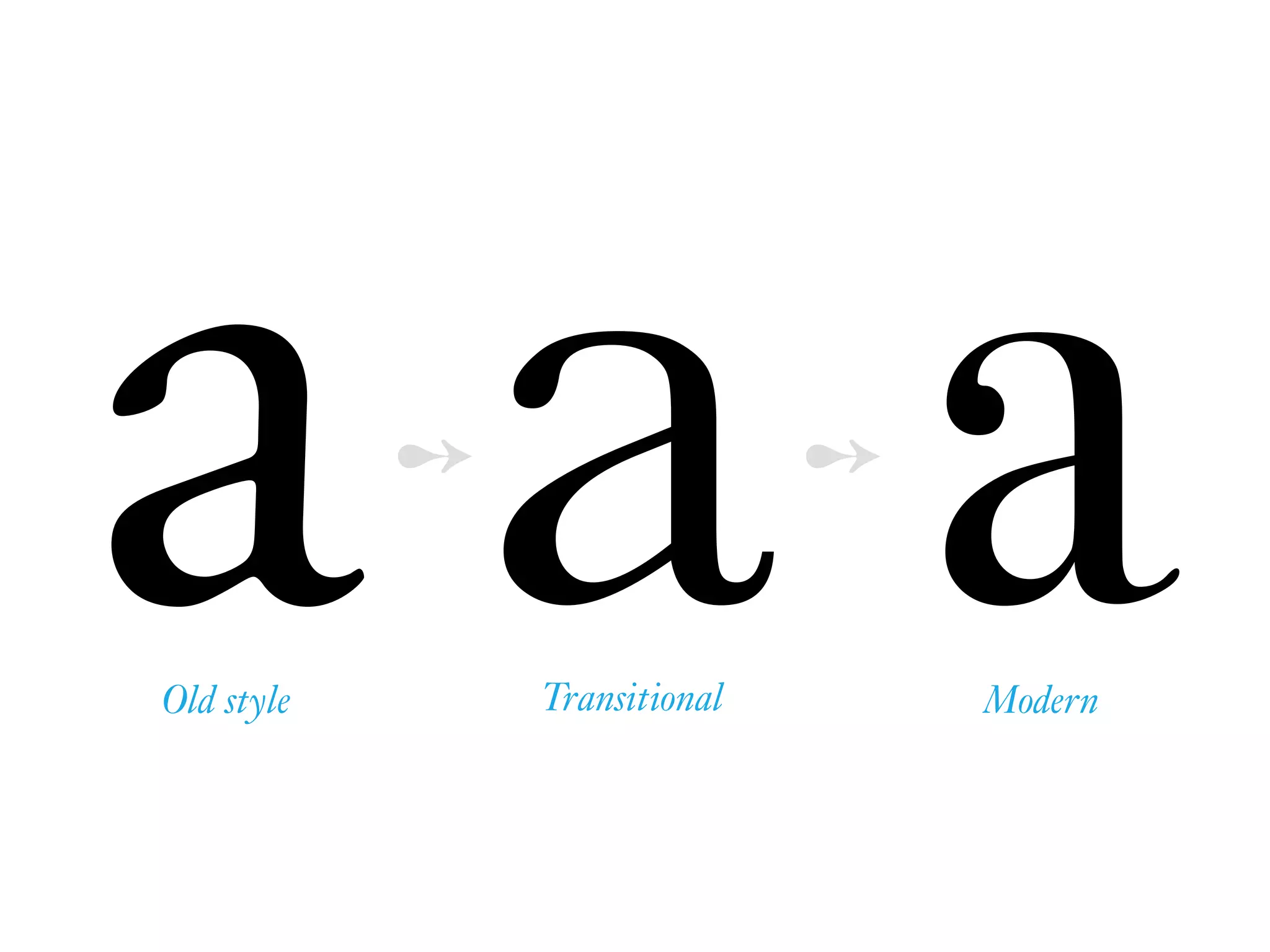 aOld style
aTransitional
➻ ➻
aModern
 