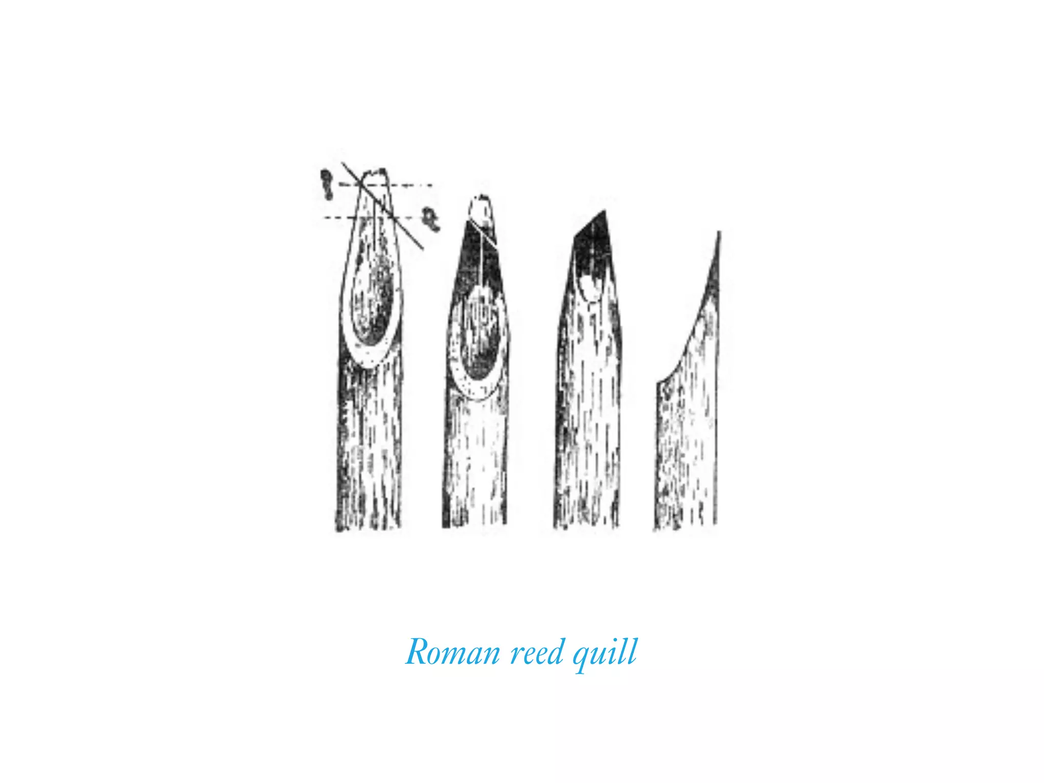 Roman reed quill
 