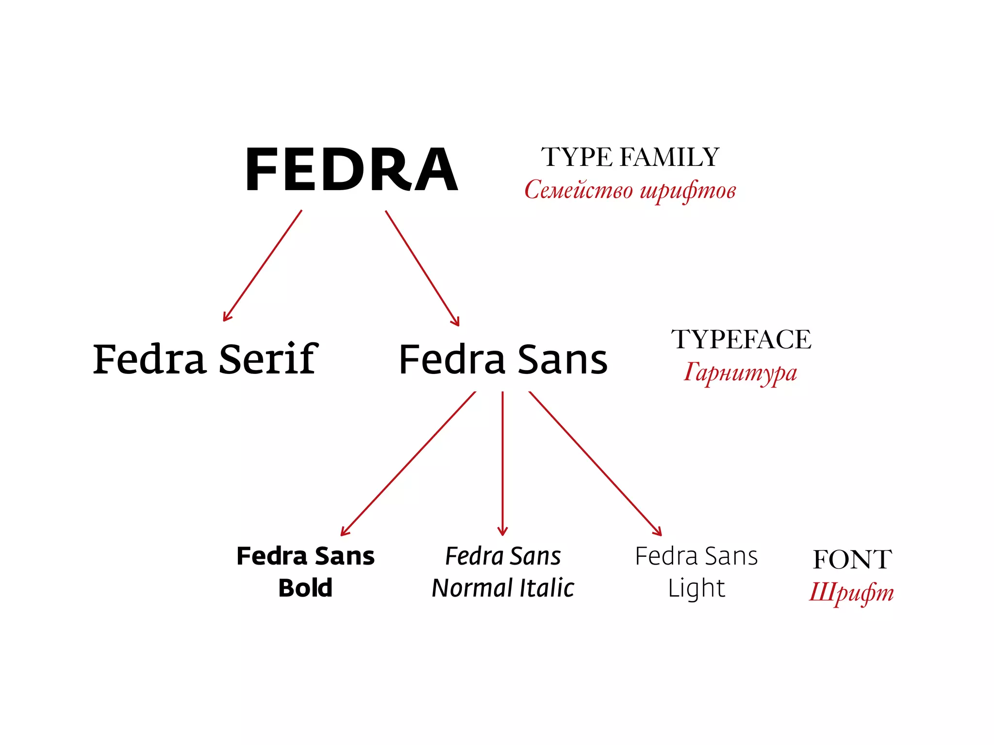 Fedra Sans  
Normal Italic
Fedra Sans  
Light
Fedra Sans  
Bold
TYPE FAMILY
Семейство шрифтов
TYPEFACE
ГарнитураFedra Serif
FEDRA
Fedra Sans
FONT
Шрифт
 