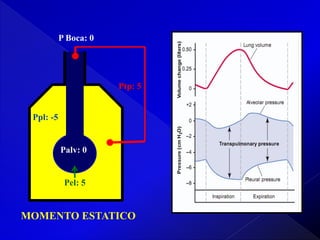 P Boca: 0

Ptp: 5

Ppl: -5

Palv: 0

Pel: 5

MOMENTO ESTATICO

 