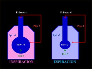 P. Boca: -1

P. Boca: +1

Ptp: 7

Ppl: -8

Ptp: 3

Ppl: -2

Palv: -3

Pel: 5

INSPIRACION

Palv: 3

Pel: 5

ESPIRACION

 