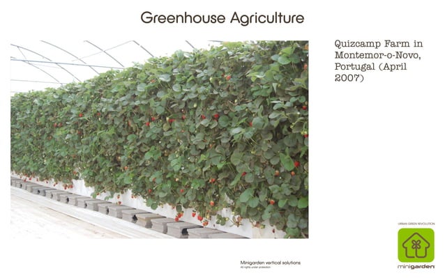 Vertical Farming Solutions