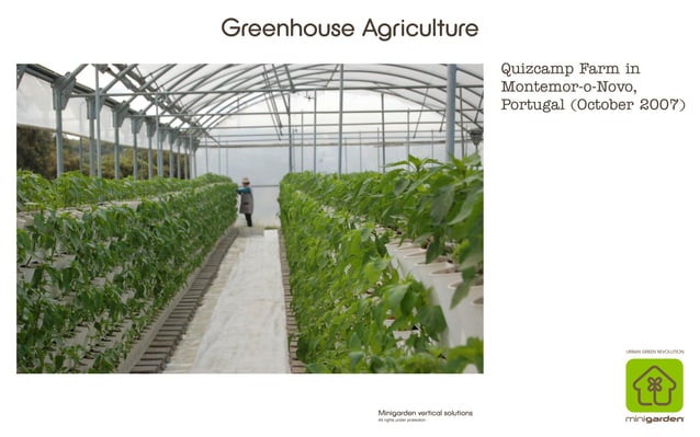 Vertical Farming Solutions