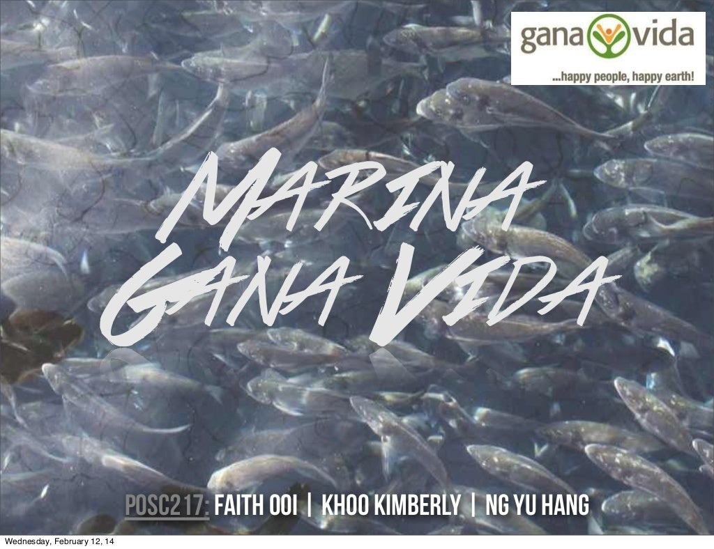 Marina gana vida essay 05 image