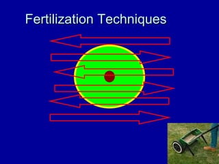 Fertilization Techniques 