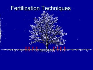 Fertilization Techniques 