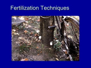 Fertilization Techniques 