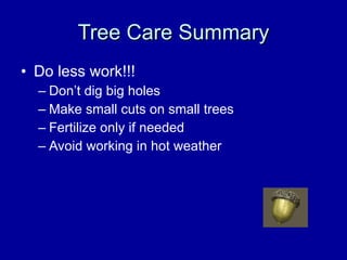 Tree Care Summary Do less work!!! Don’t dig big holes Make small cuts on small trees Fertilize only if needed Avoid working in hot weather                                                                                                               