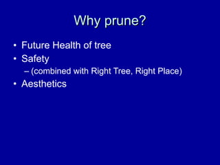 Why prune? Future Health of tree Safety  (combined with Right Tree, Right Place) Aesthetics 