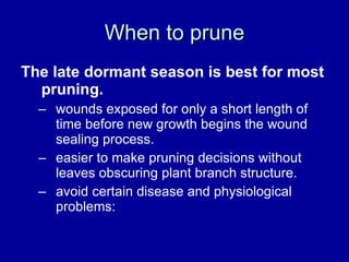 When to prune The late dormant season is best for most pruning.   wounds exposed for only a short length of time before new growth begins the wound sealing process.  easier to make pruning decisions without leaves obscuring plant branch structure.  avoid certain disease and physiological problems:  
