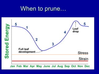 When to prune… 