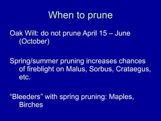 When to prune Oak Wilt: do not prune April 15 – June (October) Spring/summer pruning increases chances of fireblight on Malus, Sorbus, Crataegus, etc. “ Bleeders” with spring pruning: Maples, Birches 
