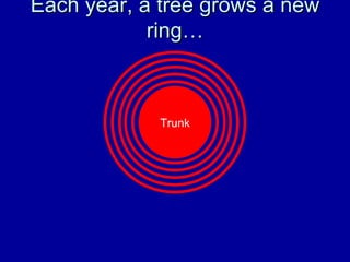 Each year, a tree grows a new ring… Trunk 