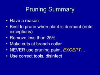 Pruning Summary Have a reason Best to prune when plant is dormant (note exceptions) Remove less than 25%  Make cuts at branch collar NEVER use pruning paint,  EXCEPT… Use correct tools, disinfect 