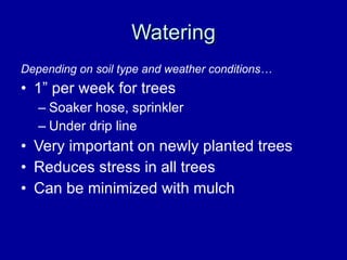Watering Depending on soil type and weather conditions… 1” per week for trees Soaker hose, sprinkler Under drip line Very important on newly planted trees Reduces stress in all trees  Can be minimized with mulch 